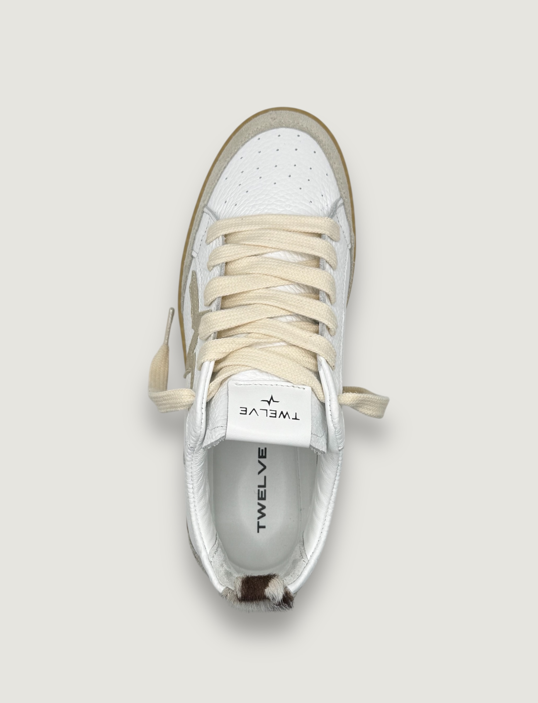 Photoroom_20260213_165835